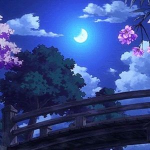 Meet your Posher, Mason